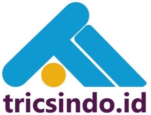TRICSINDO Logo